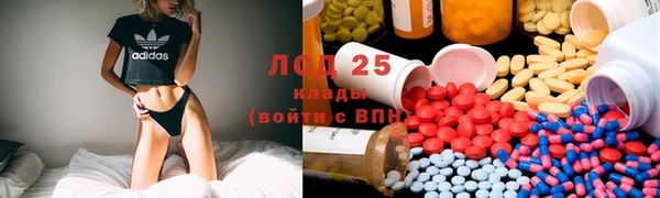 шишки Белоозёрский