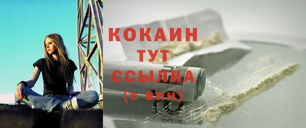 шишки Белоозёрский