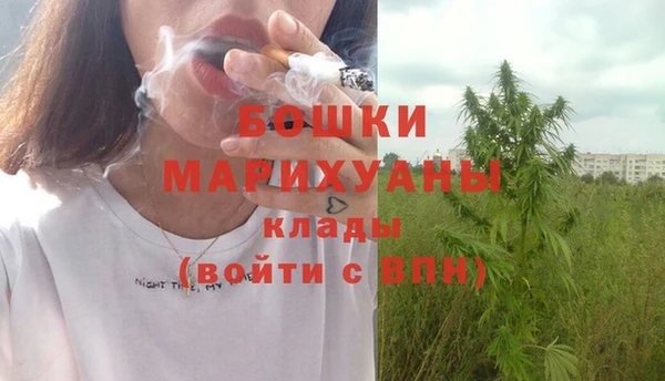 шишки Белоозёрский