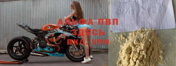 шишки Белоозёрский